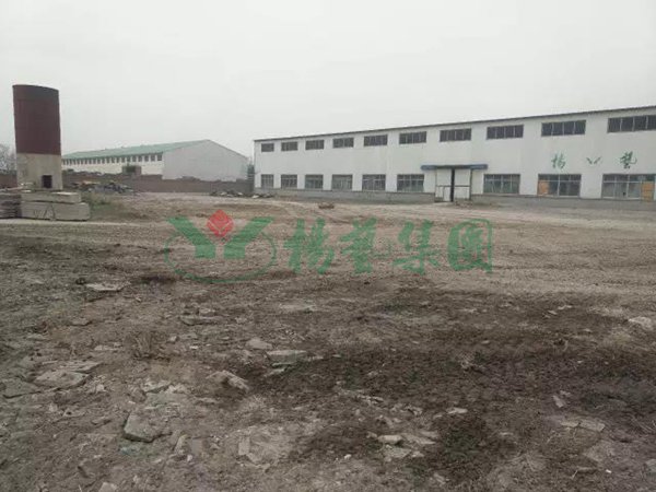 兰科博弈(RankBet)有限公司官网