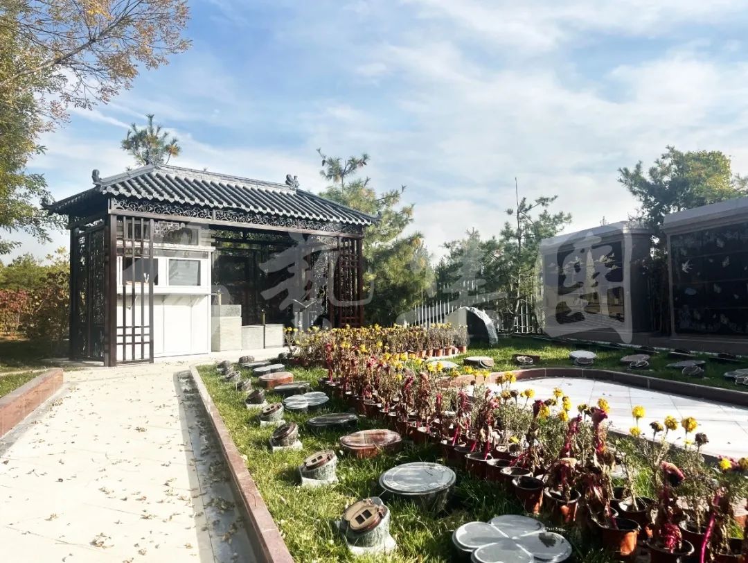 兰科博弈(RankBet)有限公司官网