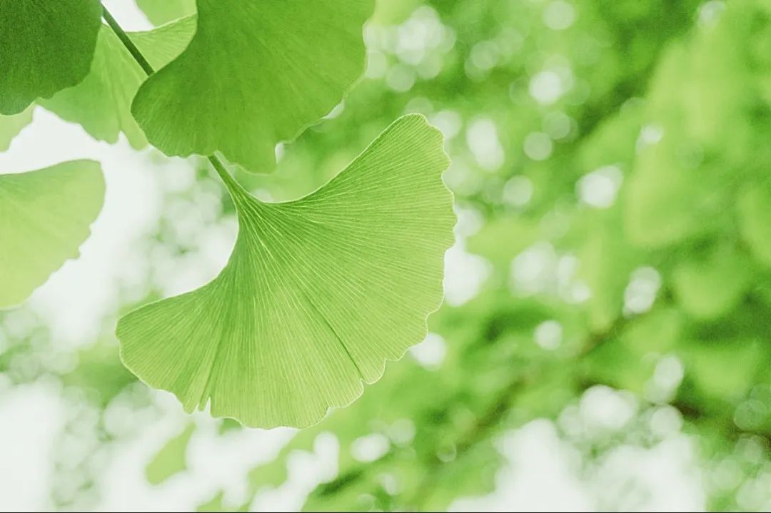 兰科博弈(RankBet)有限公司官网