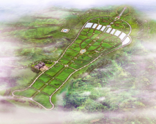 杨艺集团：公墓投资的践行者，经营治理的内行