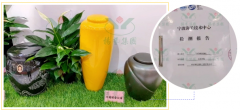 杨艺在行动，节地生态葬的研发与推广