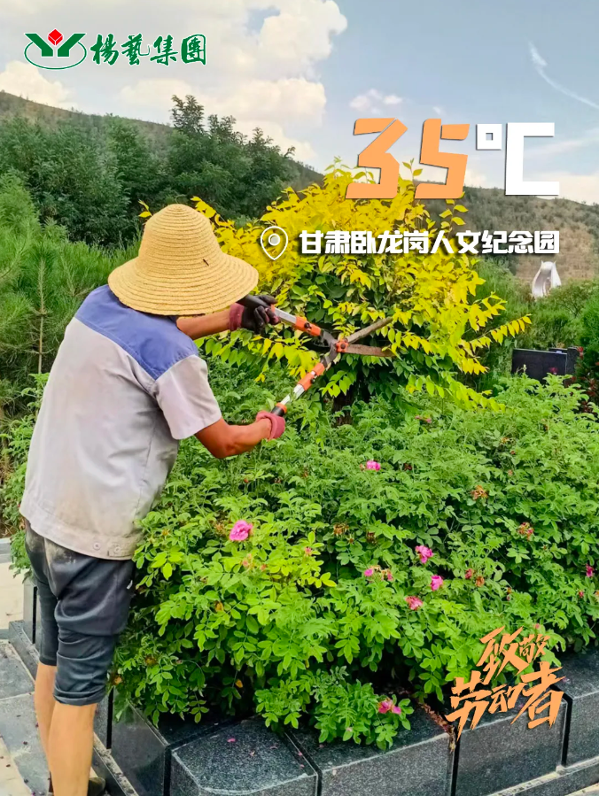 兰科博弈(RankBet)有限公司官网