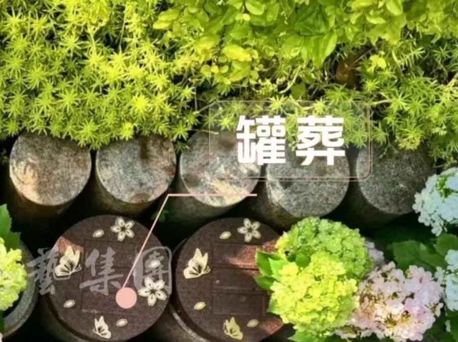 兰科博弈(RankBet)有限公司官网