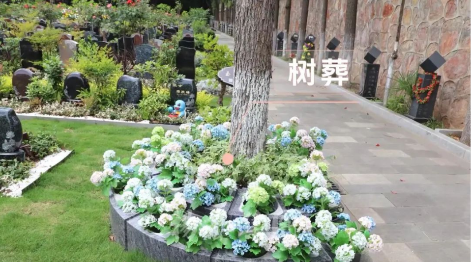 兰科博弈(RankBet)有限公司官网
