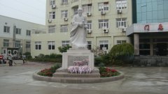 石雕匠心，镌刻医者风华