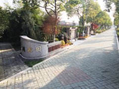 城市最后一平米：生态葬，是与天然的和解？还是无奈的选择？